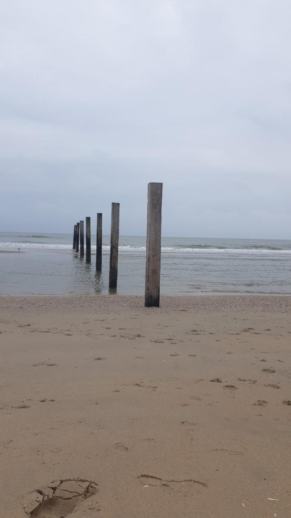 Rembrandts Beach View 잔드보르트 외부 사진