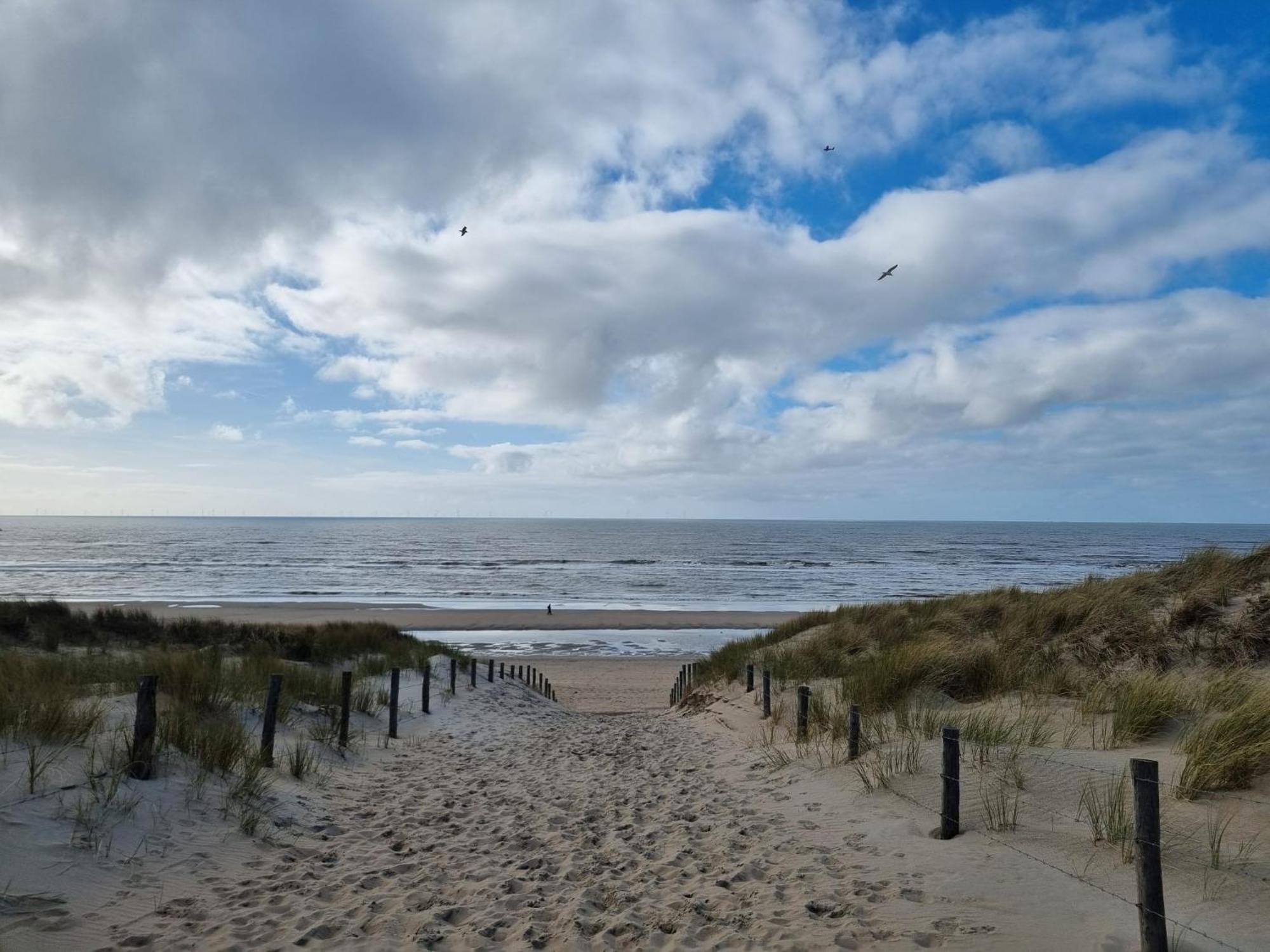 Rembrandts Beach View 잔드보르트 외부 사진