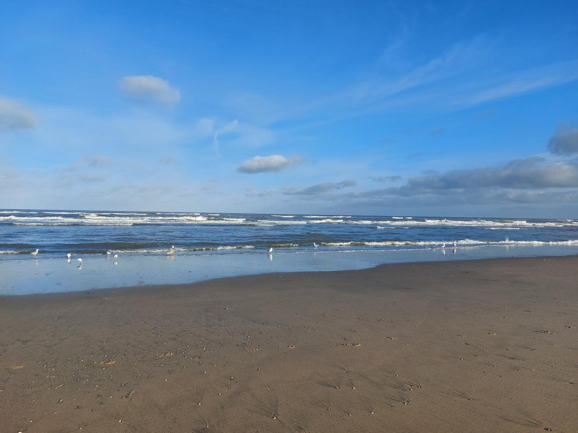 Rembrandts Beach View 잔드보르트 객실 사진