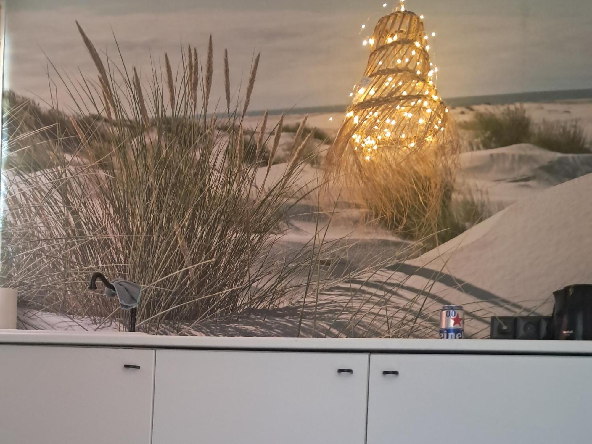 Rembrandts Beach View 잔드보르트 외부 사진